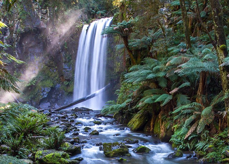 Waterfall in Australian jungle.